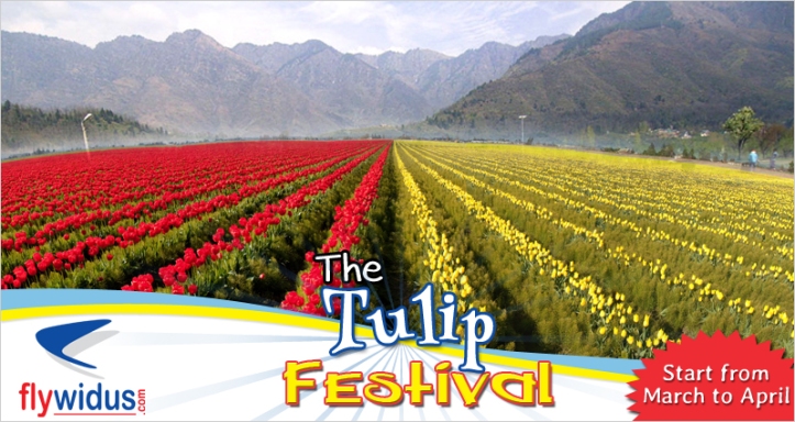 The-Tulip-Festival
